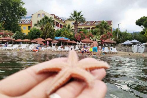 erdek ocaklar otelleri yasemina